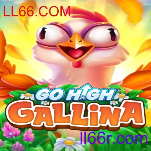 Tudo o que Você Precisa Saber Sobre GoHighGallina